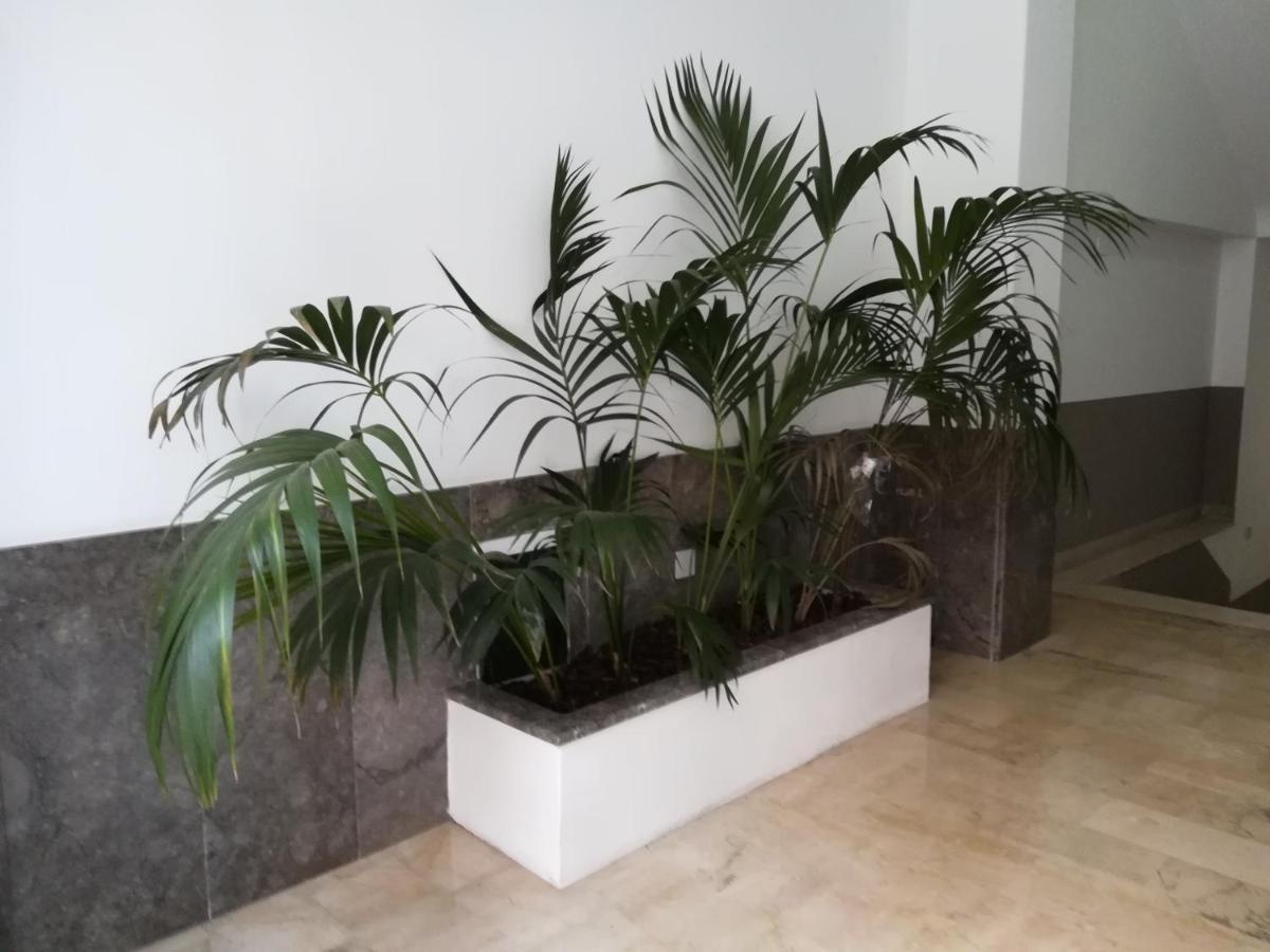 Centro Citta Basement Ξενοδοχείο Παλέρμο Εξωτερικό φωτογραφία